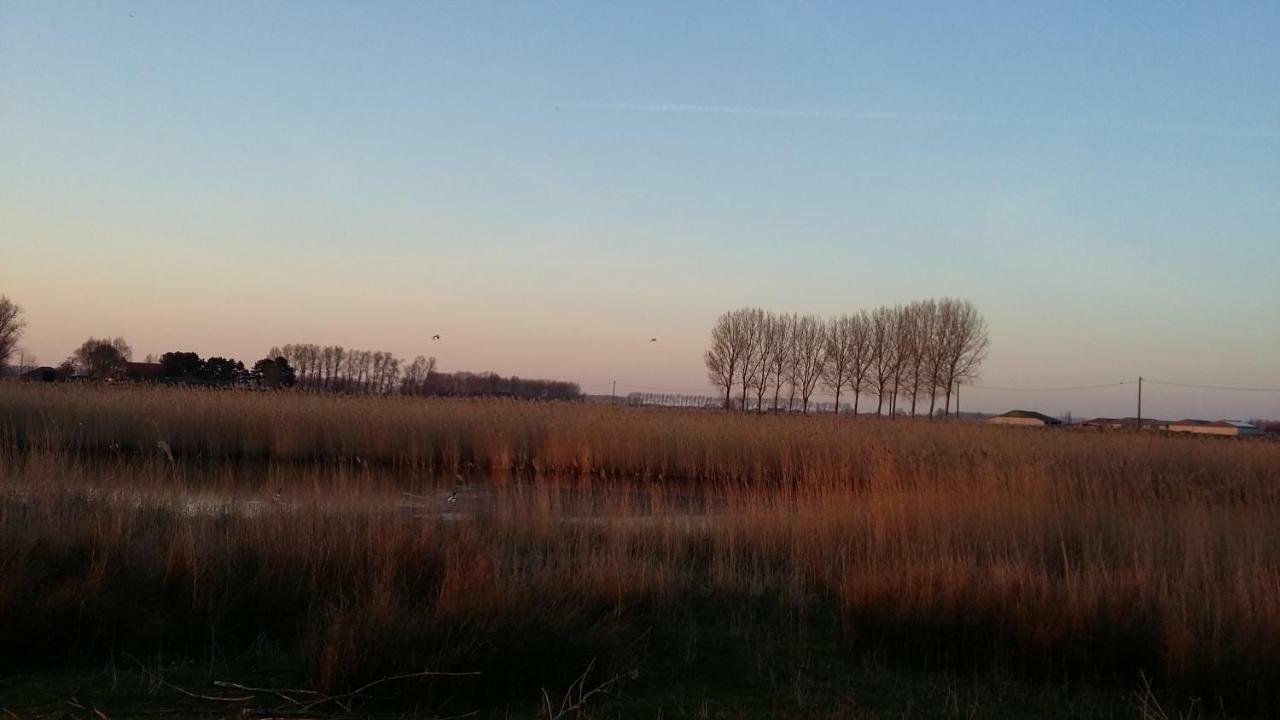 De Molenkreek Villa Sint-Margriete Kültér fotó