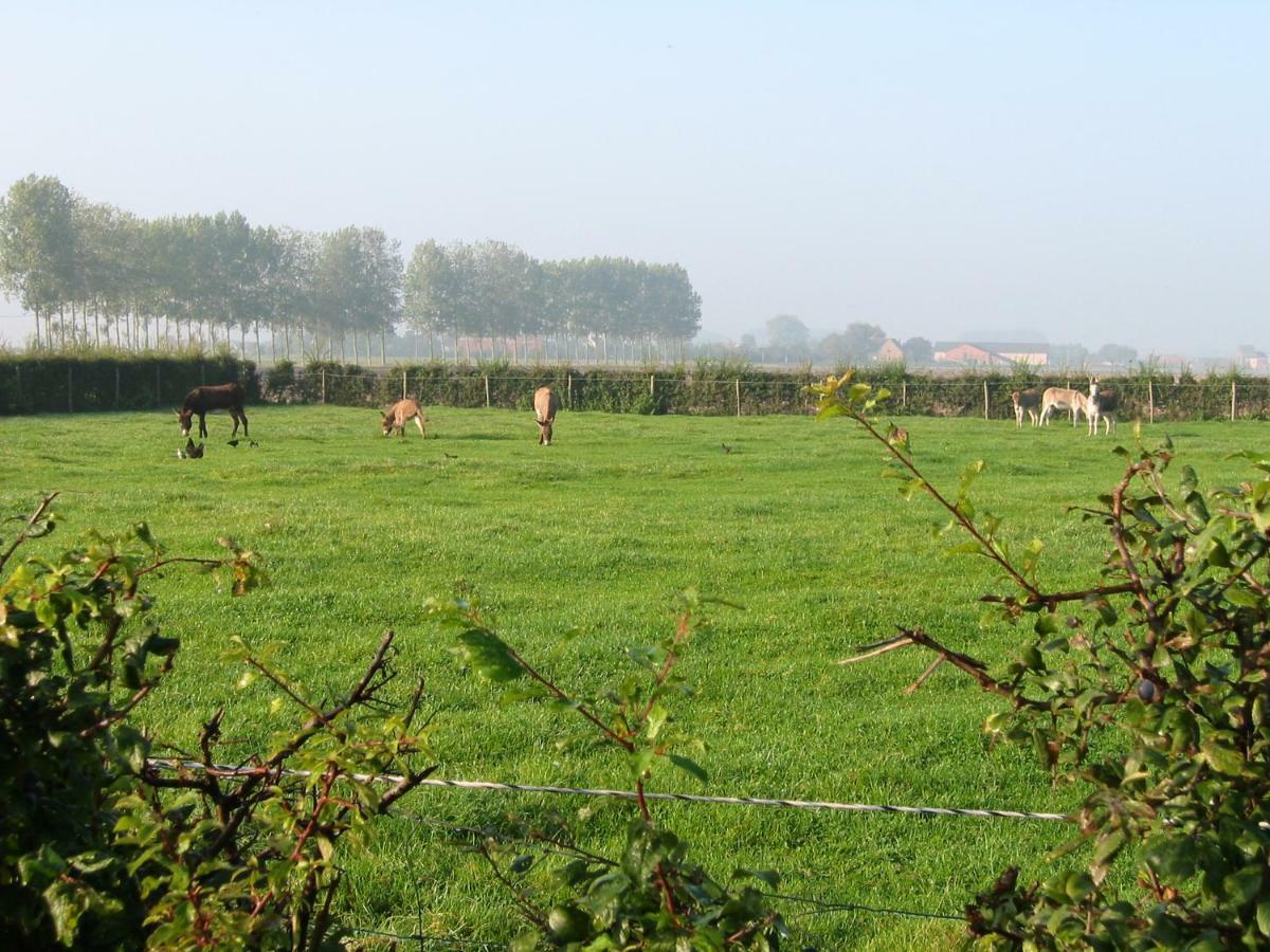 De Molenkreek Villa Sint-Margriete Kültér fotó