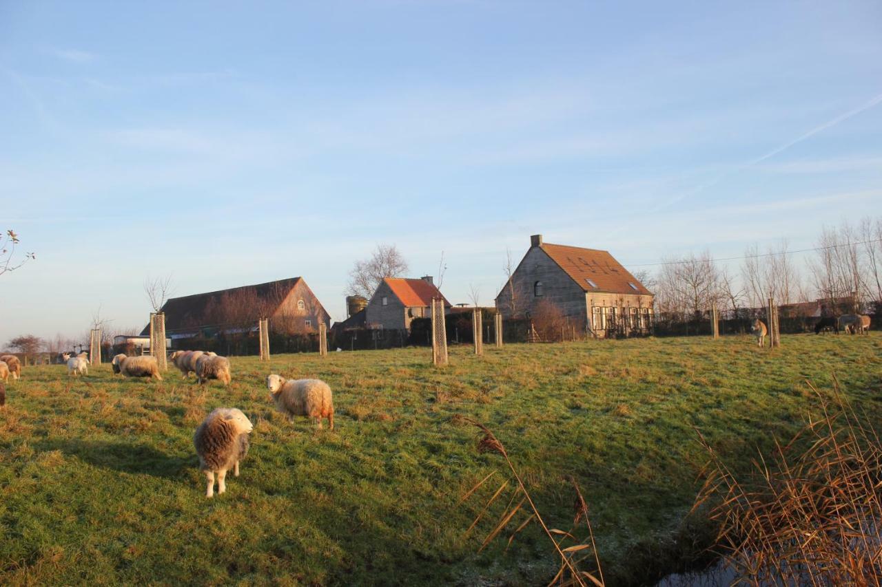 De Molenkreek Villa Sint-Margriete Kültér fotó