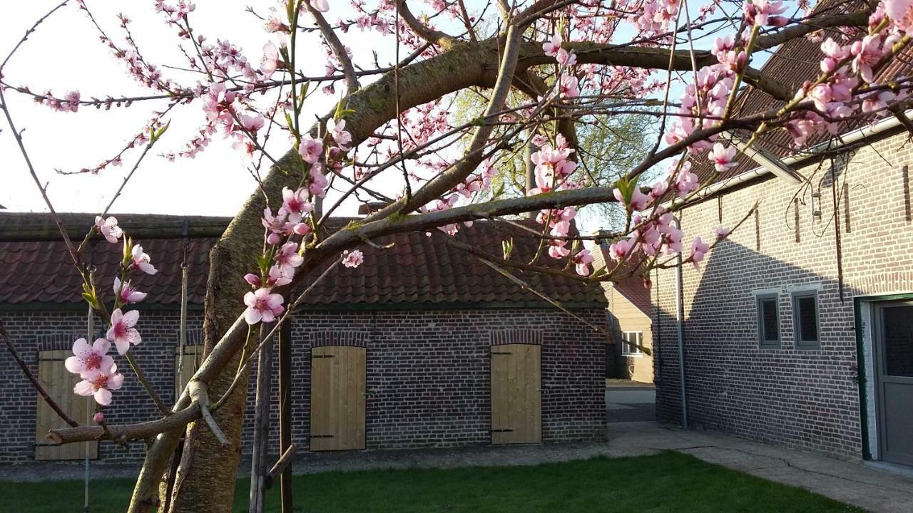 De Molenkreek Villa Sint-Margriete Kültér fotó
